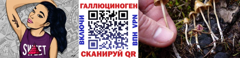 Галлюциногенные грибы Cubensis  Чусовой 