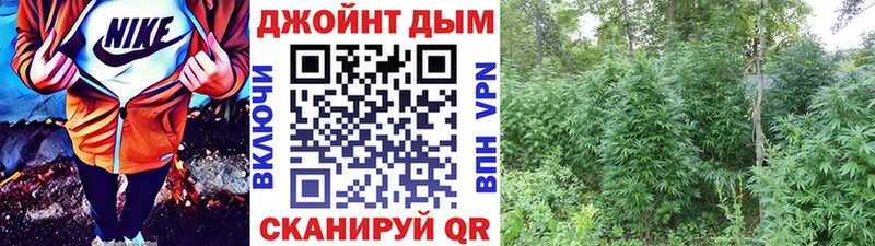 Бошки марихуана Amnesia  Чусовой 